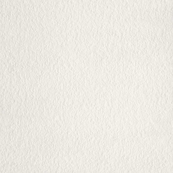 Mosa Core Collection Terra 60X60 200 RL Koel Porseleinwit, afname per doos van 1,08 m²