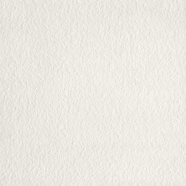 Mosa Core Collection Terra 60X60 200 RL Koel Porseleinwit, afname per doos van 1,08 m²