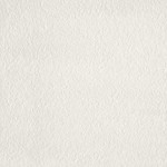 Mosa Core Collection Terra 60X60 200 RL Koel Porseleinwit, afname per doos van 1,08 m²