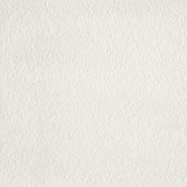 Mosa Core Collection Terra 60X60 200 RL Koel Porseleinwit, afname per doos van 1,08 m²