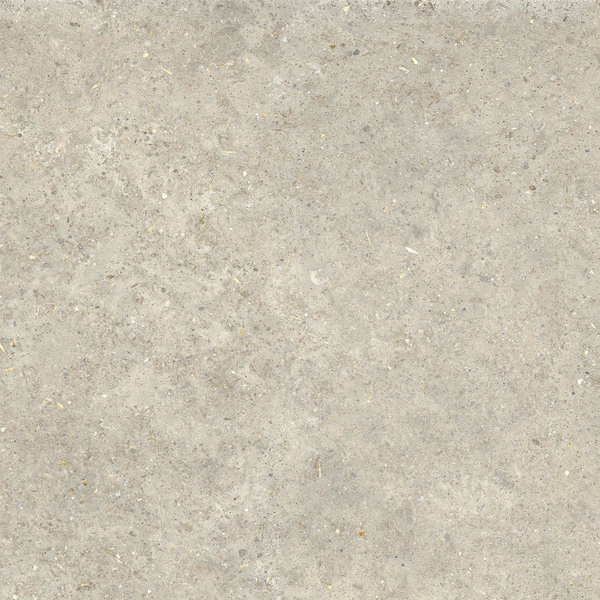 La Fabbrica/AVA Agglomerate 160052 Shell OUTDOOR 80x80, afname per doos van 0,64 m²