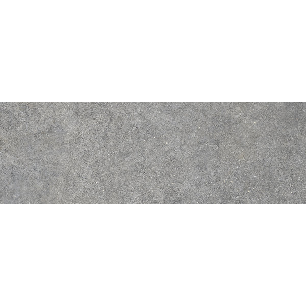 La Fabbrica/AVA Jungle Stone 154036 Silver lappato 10x30, afname per doos van 0,57 m²