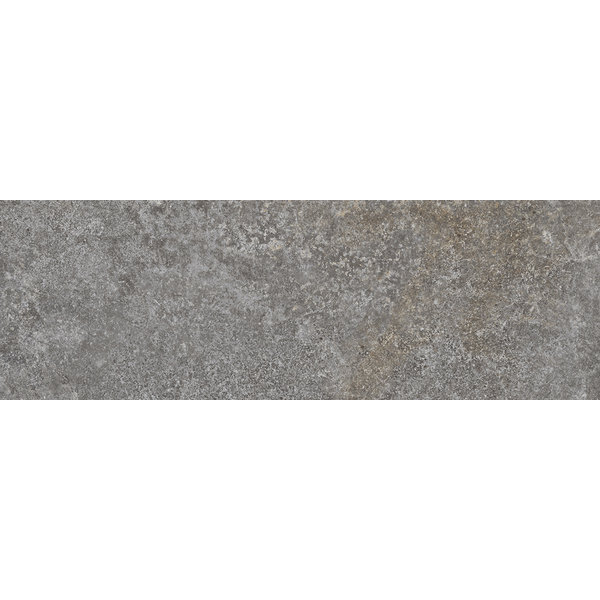 La Fabbrica/AVA Jungle Stone 154036 Silver lappato 10x30, afname per doos van 0,57 m²