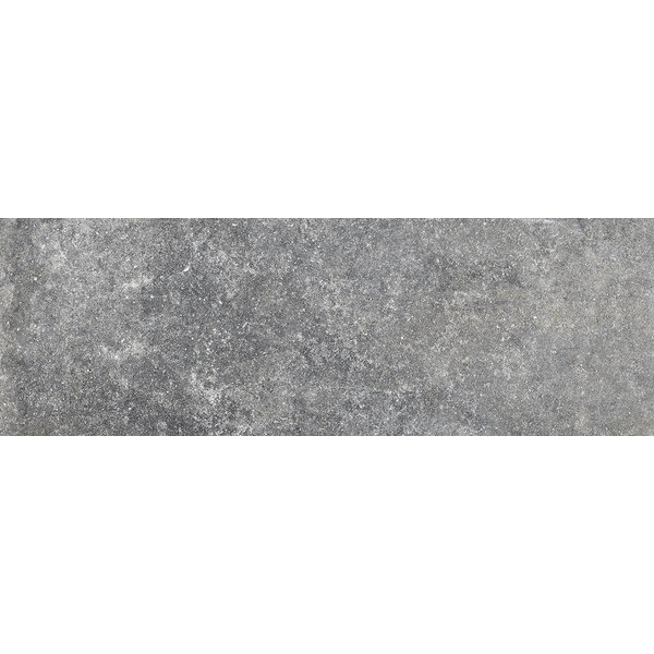 La Fabbrica/AVA Jungle Stone 154031 Silver 10x30, afname per doos van 0,57 m²
