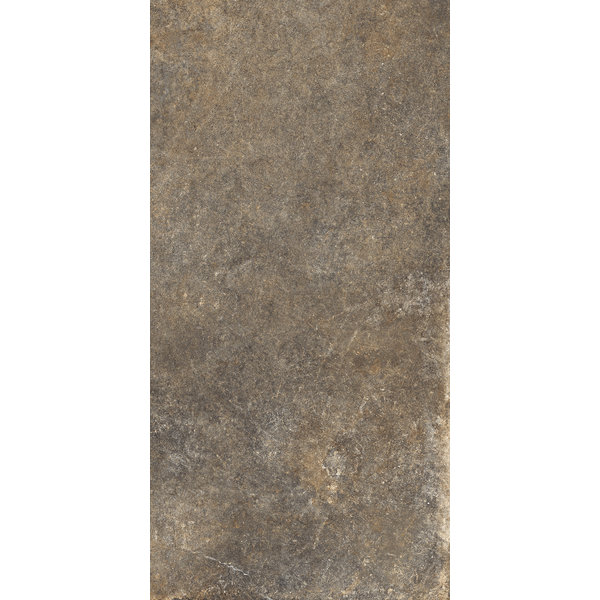 La Fabbrica/AVA Jungle Stone 154030 Wild lappato 30x60, afname per doos van 1,08 m²