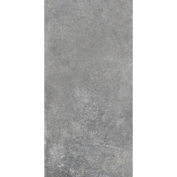 La Fabbrica/AVA Jungle Stone 154026 Silver lappato 30x60, afname per doos van 1,08 m²