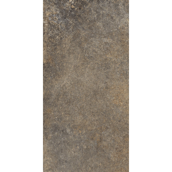 La Fabbrica/AVA Jungle Stone 154025 Wild 30x60, afname per doos van 1,08 m²