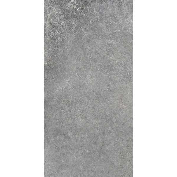 La Fabbrica/AVA Jungle Stone 154021 Silver 30x60, afname per doos van 1,08 m²