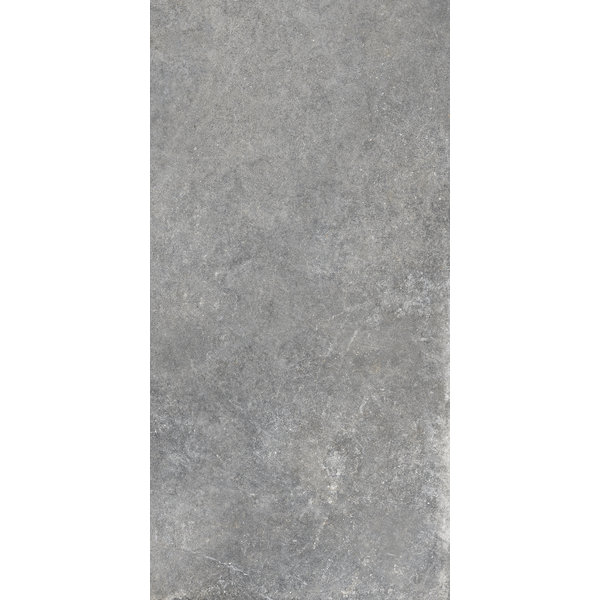 La Fabbrica/AVA Jungle Stone 154021 Silver 30x60, afname per doos van 1,08 m²