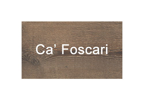Ca' Foscari