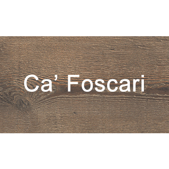 Ca' Foscari serie La Fabbrica AVA