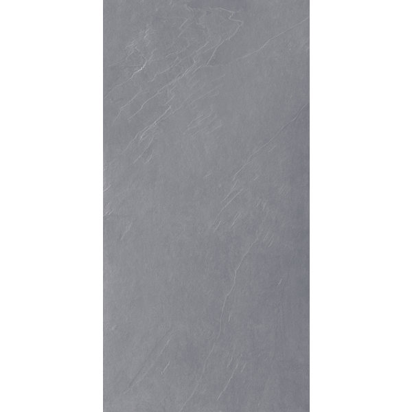 La Fabbrica AVA Ardesia 137010 Grigio 60x120 antislip, afname per doos van 1,44 m²