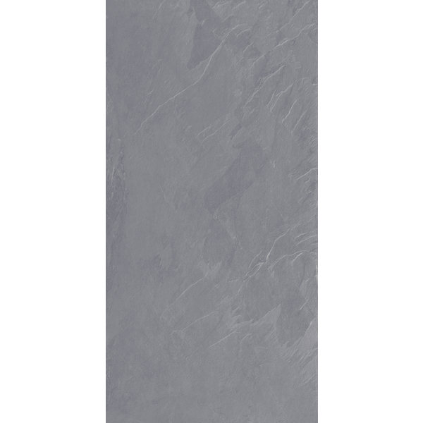 La Fabbrica AVA Ardesia 137010 Grigio 60x120 antislip, afname per doos van 1,44 m²