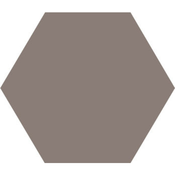 Winckelmans Hexagon 5 cm, vlak, gris (GRU), 5 mm dik, afname per doos van 0,11 m²