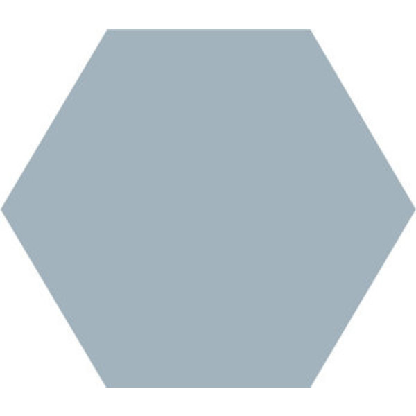 Winckelmans Hexagon 5 cm, vlak, pale blue (BEP), 5 mm dik, afname per doos van 0,11 m²