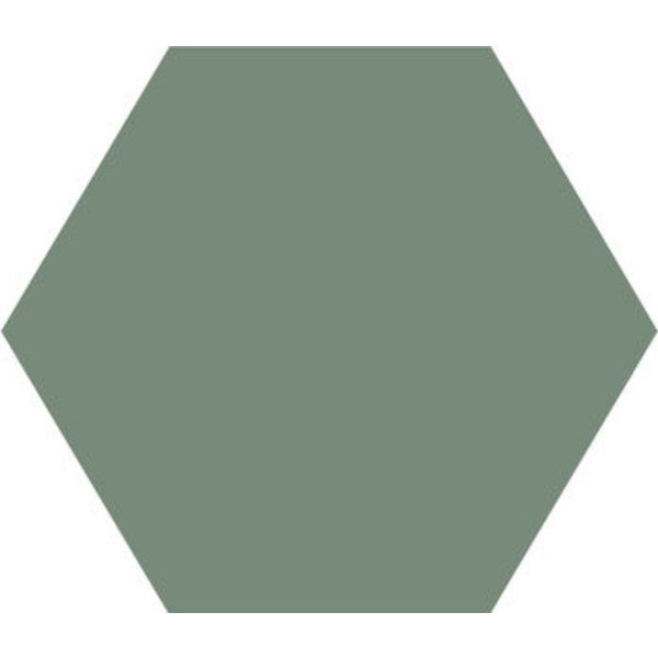 Winckelmans Hexagon 5 cm, vlak, pale vert (VEP), 5 mm dik, afname per doos van 0,11 m²