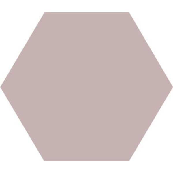 Winckelmans Hexagon 5 cm, vlak, Parma (PAR), 5 mm dik, afname per doos van 0,11 m²