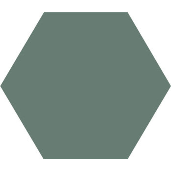 Winckelmans Hexagon 5 cm, vlak, vert (VEU), 5 mm dik, afname per doos van 0,11 m²