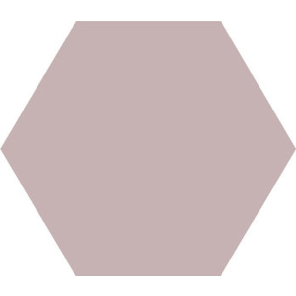 Winckelmans Hexagon 15 cm, vlak, Parma (PAR), 9 mm dik, afname per doos van 0,48 m²