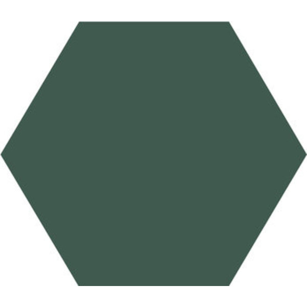 Winckelmans Hexagon 15 cm, vlak, vert fonce (VEF), 9 mm dik, afname per doos van 0,48 m²