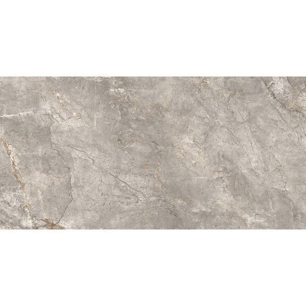 Keope Elements Lux Silver Grey 60x120 gepolijst, afname per doos van 1,44 m²