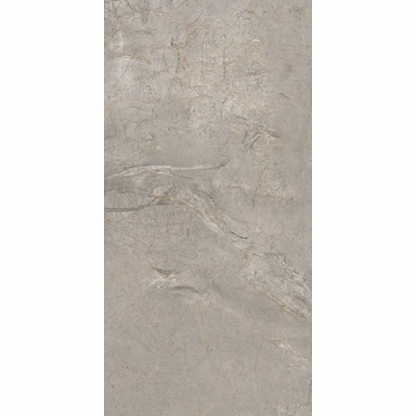 Keope Elements Lux Silver Grey 60x120 mat, afname per doos van 1,44 m²