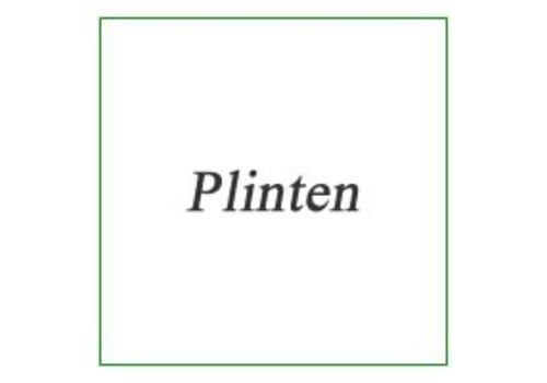 Plinten