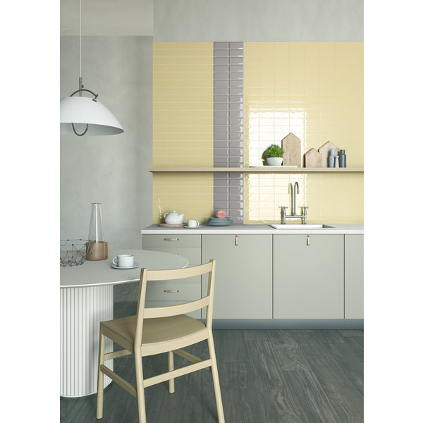 Eccentrico Back to Basic Fango glans 6x25, afname per doos van 0,45 m²