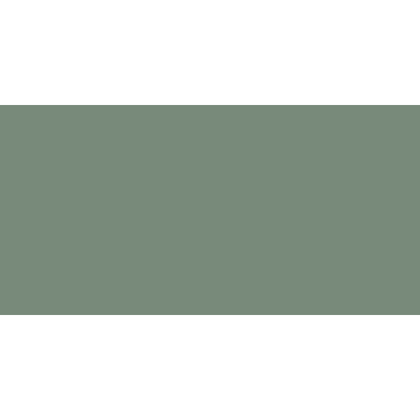 Winckelmans Rectangles 5x10 cm, vlak, pale vert (VEP), 9 mm dik, afname per doos van 0,25 m²