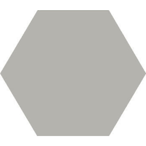 Winckelmans Hexagon 15 cm, vlak, Slate (ARD), 9 mm dik, afname per doos van 0,48 m²