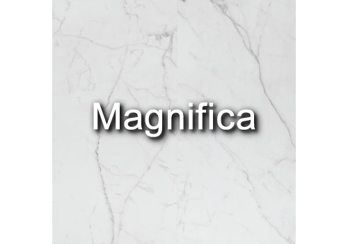 Magnifica