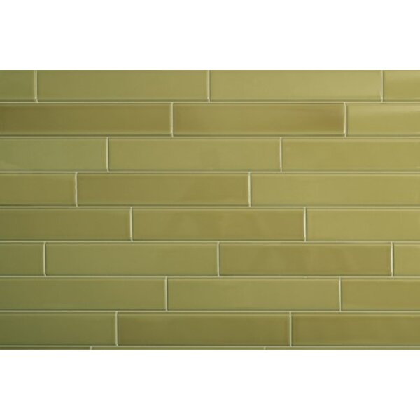 Quintessenza Tinte Verde Lucido 5x25 TNT110L, afname per doos van 0,5 m²