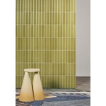 Quintessenza Tinte Verde Lucido 5x25 TNT110L, afname per doos van 0,5 m²