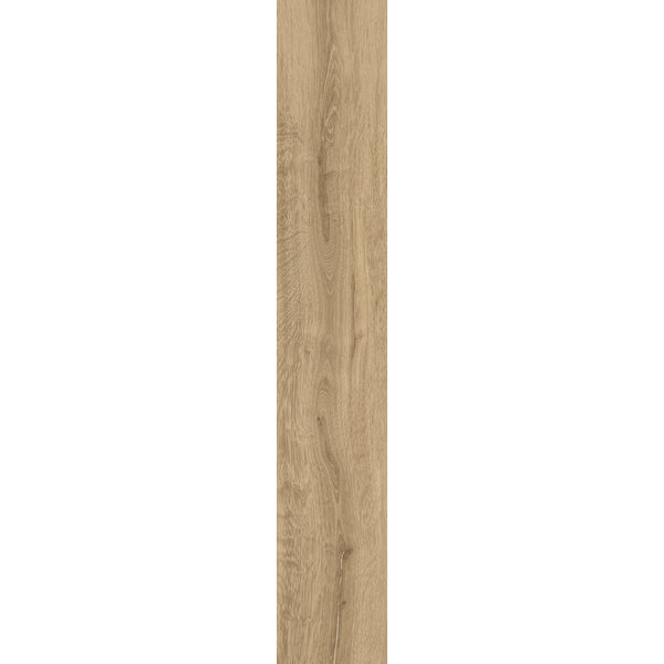 La Fabbrica AVA HoneyWood 191024 Bricola 20x120, afname per doos van 0,96 m²