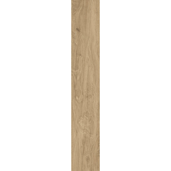 La Fabbrica AVA HoneyWood 191024 Bricola 20x120, afname per doos van 0,96 m²