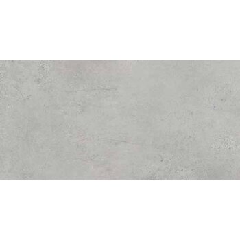 Dado Gare du Nord 30X60 Light Grey gerectificeerd a 1,44 m²