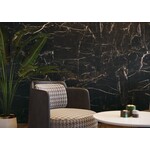 Marquina Gold mat 60x120, afname per doos van 1,44 m²