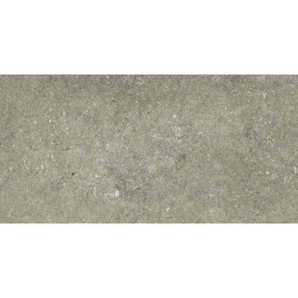 Kronos Le Reverse 60X120 Taupe Elegance, afname per doos van 1,44 m²