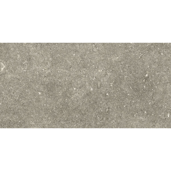 Kronos Le Reverse 60X120 Taupe Elegance, afname per doos van 1,44 m²