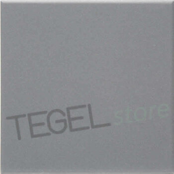 TopCer L4415 Medium Grey 10x10 cm a 1 m²