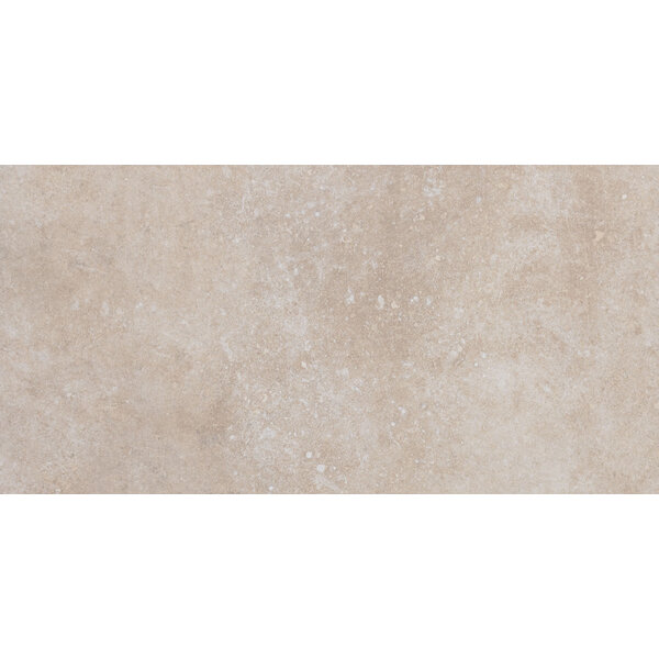 Pora Beige 60x120, afname per doos van 2,16 m²