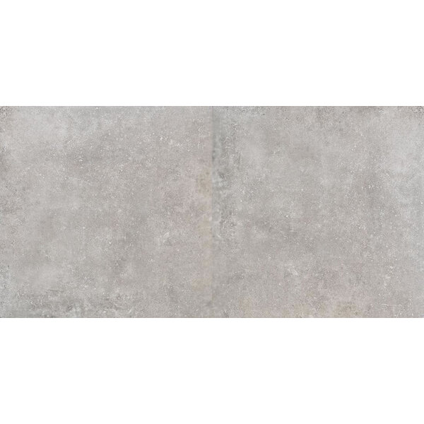 Pora Grigio 60x120, afname per doos van 2,16 m²