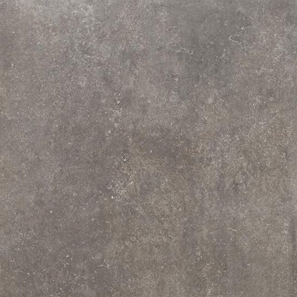 Pora Musk 60x60, afname per doos van 1,8 m²