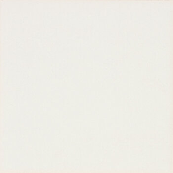 Mosa Residential mat wit 27010 15x15, 5 dozen a 1 m²