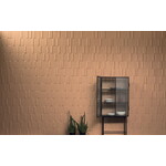 41ZERO42 Biscuit Strip Terra 5x20, afname per doos van 0,44 m²