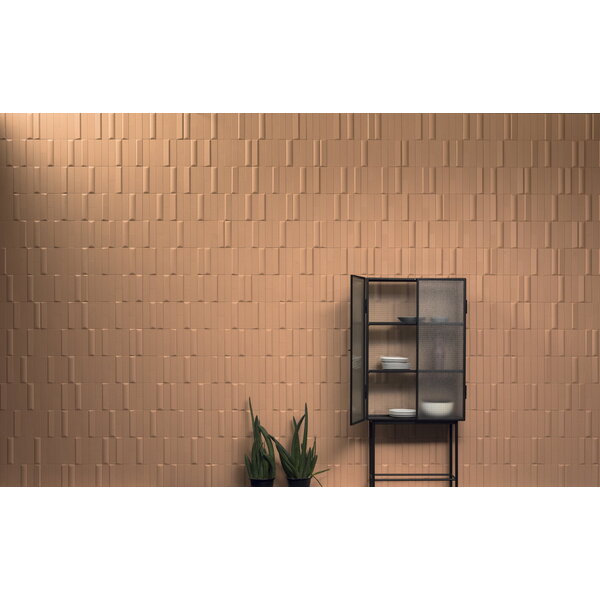 41ZERO42 Biscuit Strip Terra 5x20, afname per doos van 0,44 m²