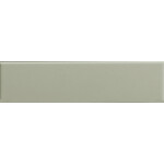 41ZERO42 Biscuit Plain Salvia 5x20, afname per doos van 0,46 m²