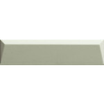 41ZERO42 Biscuit Peak Salvia 5x20, afname per doos van 0,4 m²