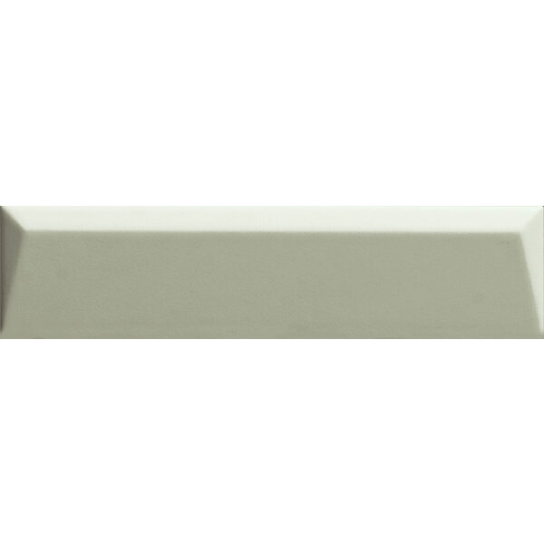 41ZERO42 Biscuit Peak Salvia 5x20, afname per doos van 0,4 m²