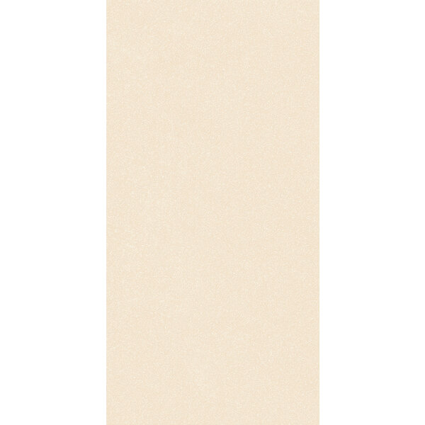 41ZERO42 Nok Ivory Grains 60x120, afname per doos van 1,44 m²